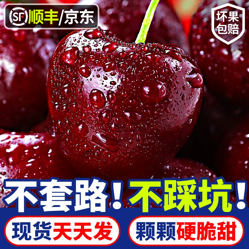 【现货速发】智利进口车厘子空运桑提娜礼盒J-4J新鲜水果内附果径卡