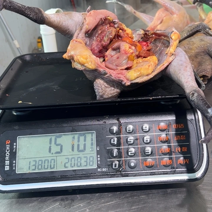 一号母鸡食用农产品中国大陆M***糖