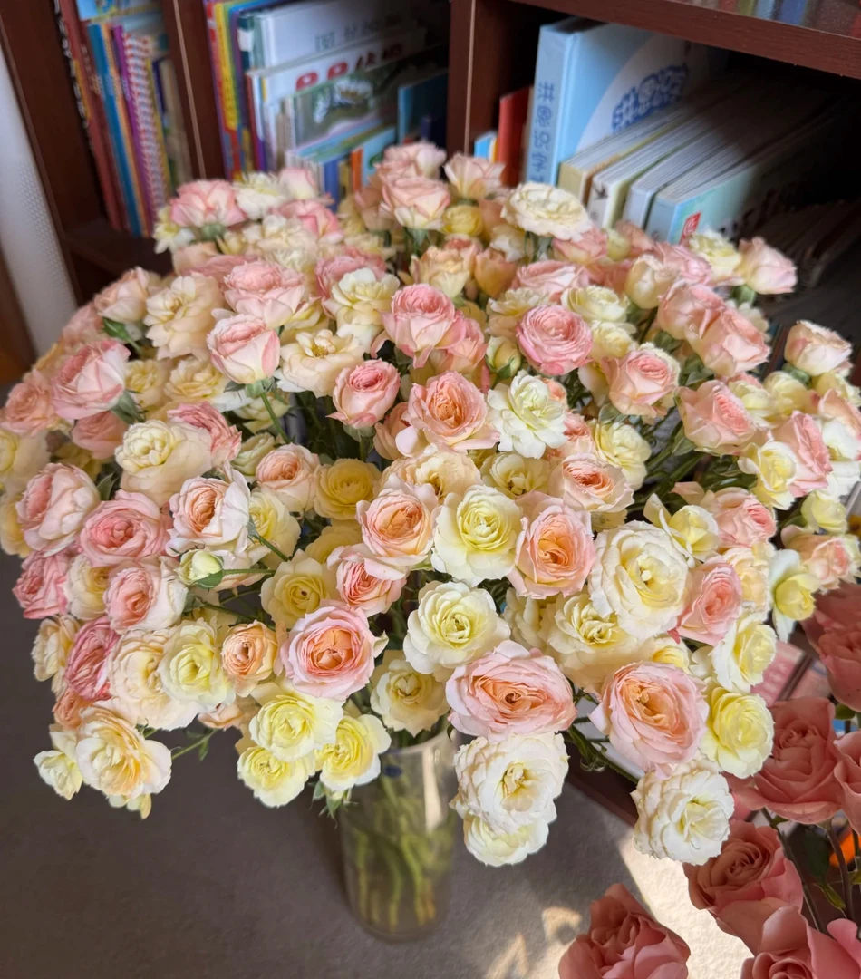 簪花笑稀有玫瑰发新疆西藏内蒙甘肃拉萨乡镇全国可发鲜花
