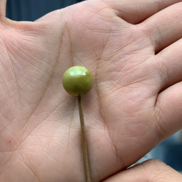 老***菇绿松石未镶嵌配饰