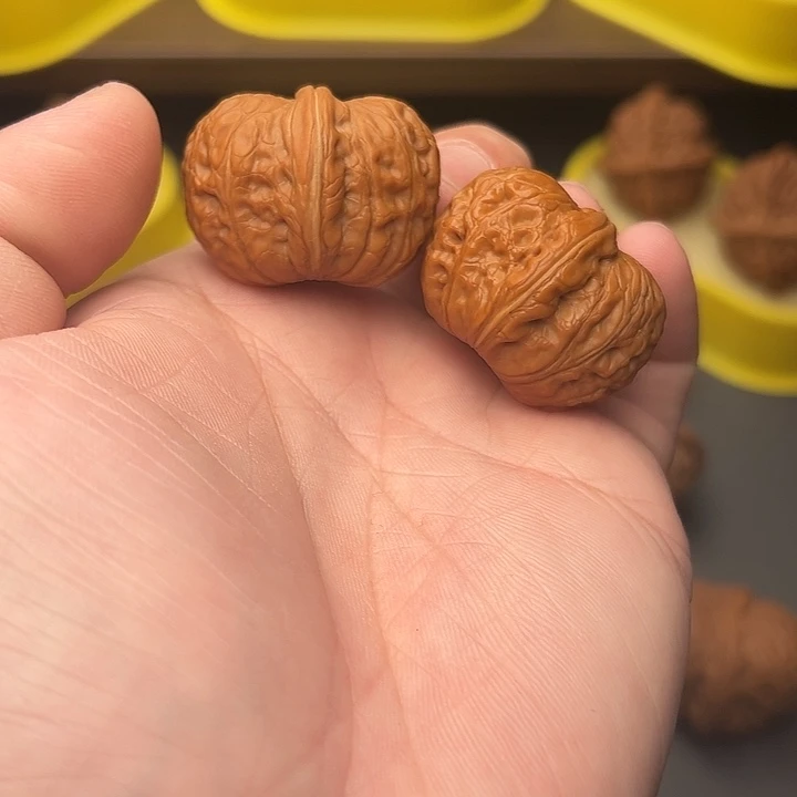 35尺精配矮桩满肉元宝