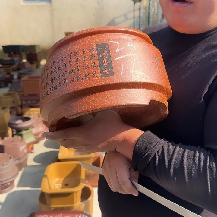 花盆紫砂这是什么