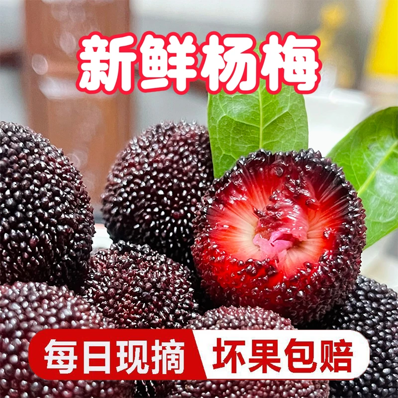 【冷链送货上门】PT新鲜高山杨梅酸甜应季水果现摘杨梅酸甜多汁HH