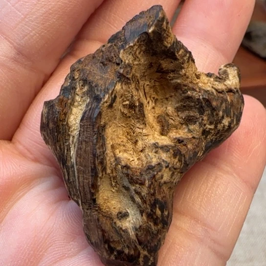 沉香摆件海南野油疙瘩4克