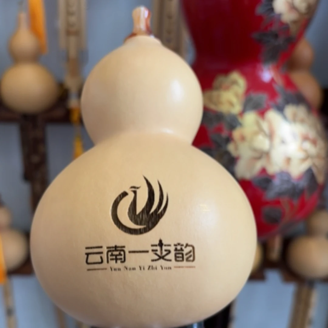管睿名师监制专业级九孔葫芦丝音准音色好有指法视频教授