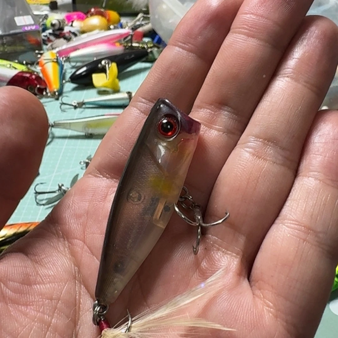 【闪购商品】jackall波爬
