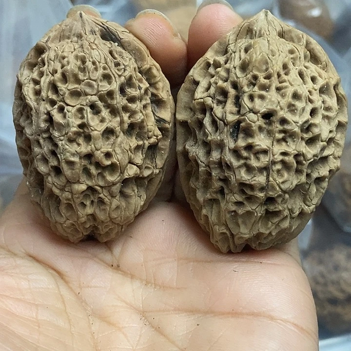 文玩核桃把件云南铁核桃基地64