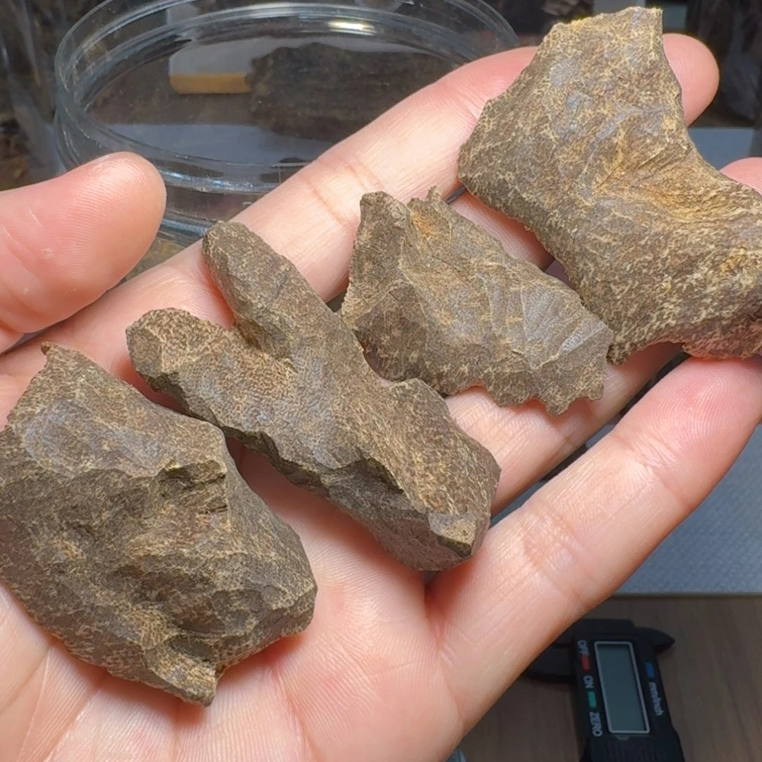 沉香碎屑沉香芽庄熏香料1g装