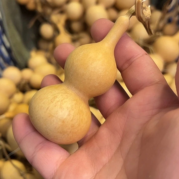 往***风有机玻璃蚂蚁蚂蚁蚂蚁蚂蚁