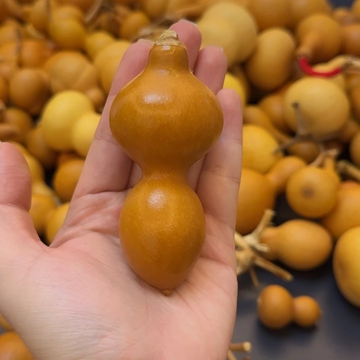 4年半老皮蚂蚁 很正