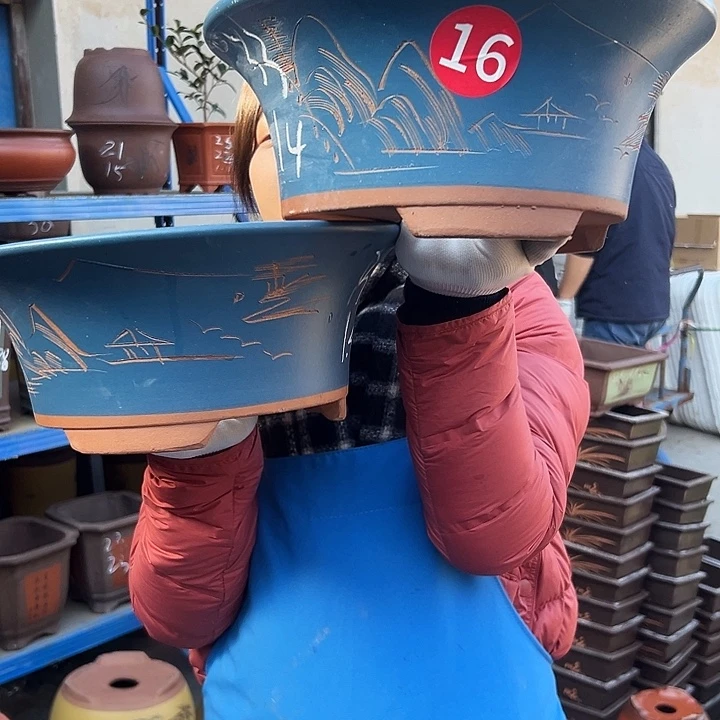 33+33蓝票口花盆花盆花盆花盆