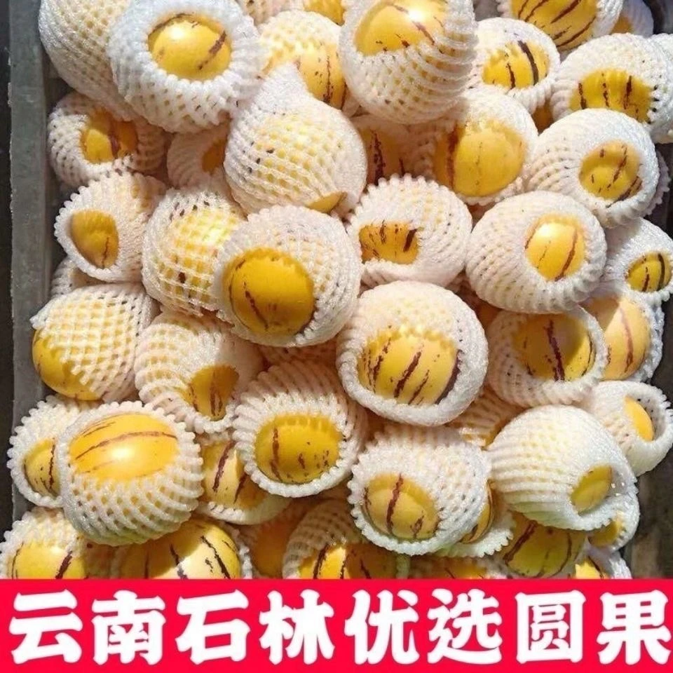 【YY】现摘现发香甜爆汁云南石林人参果爽口多汁新鮮采摘