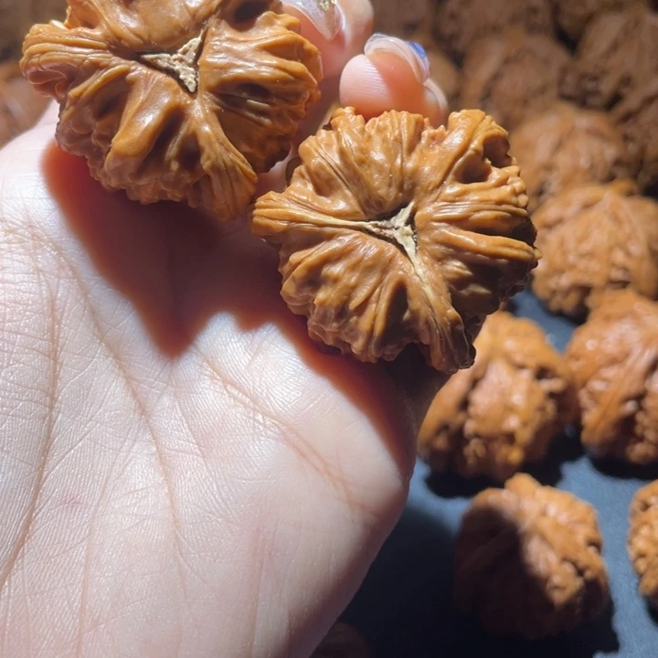黑***马文玩核桃吊坠白狮子
