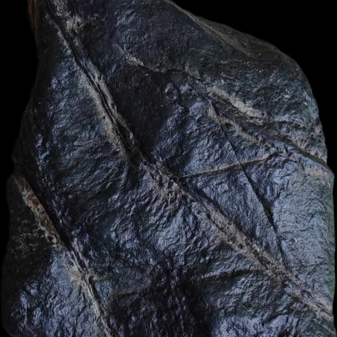 火星碳质无球粒天玄石，重量87克，强磁性，铁含量大于百分之12石头