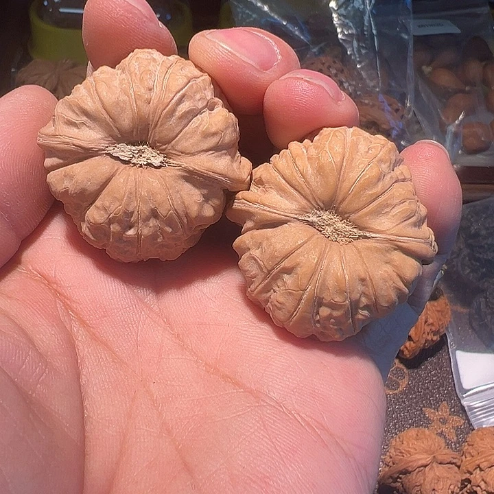 核桃全品无修南瓜墩