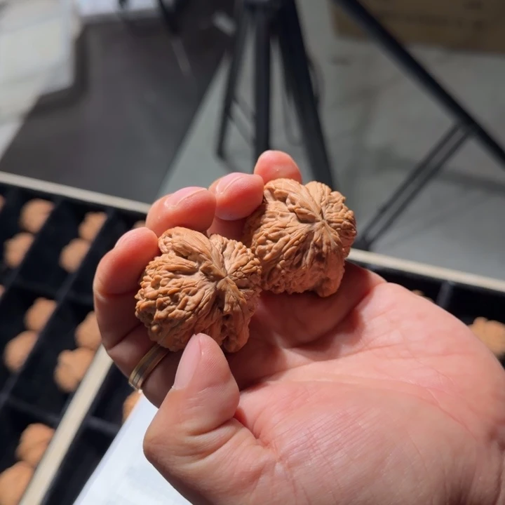 把件文玩核桃557号43mm全品白狮子