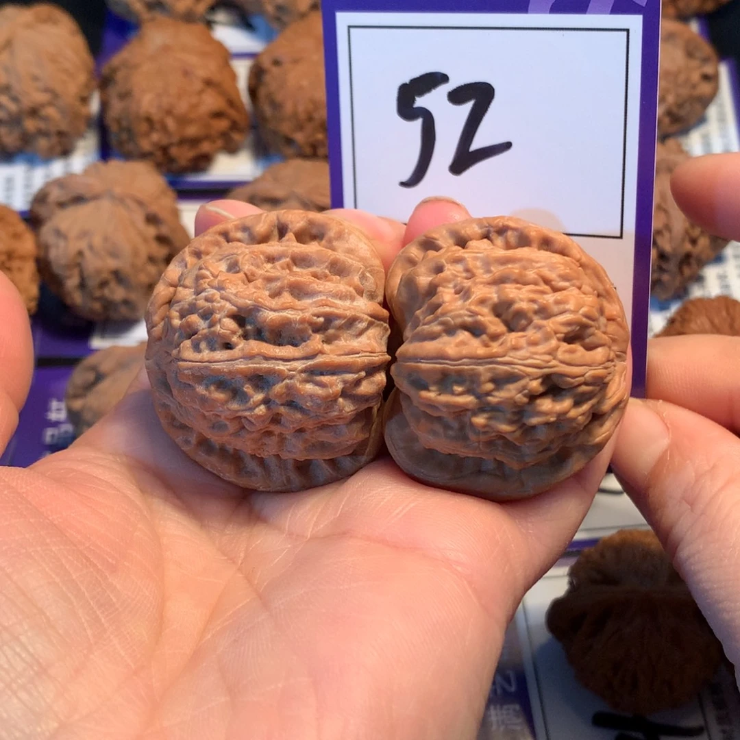 核桃52白狮子3.9全品