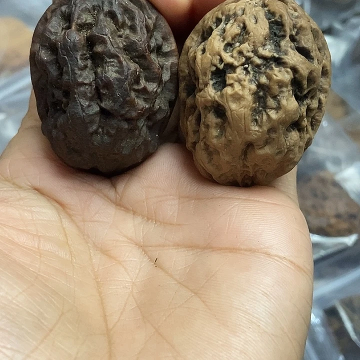 文玩核桃把件云南铁核桃基地44