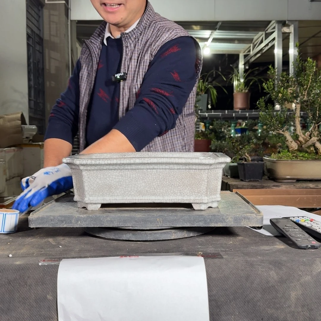 红陶臻***墅精选好盆