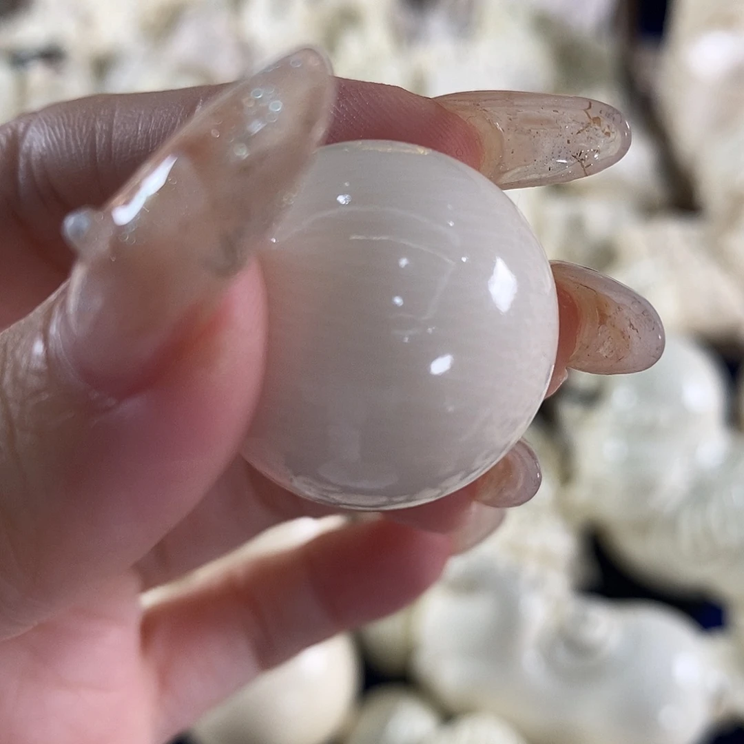 用***72.5单珠111111111111