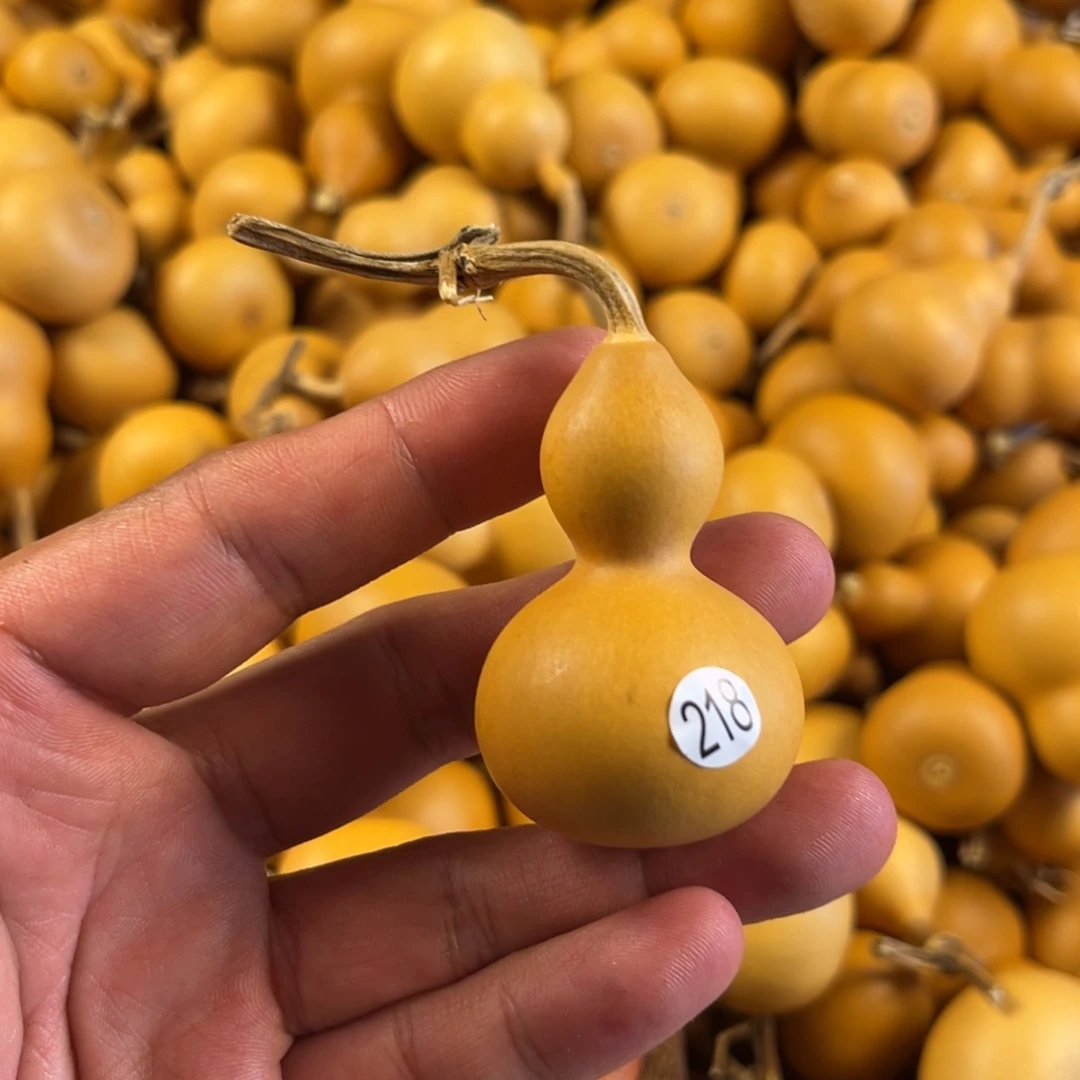 一个葫芦葫芦葫芦葫芦218