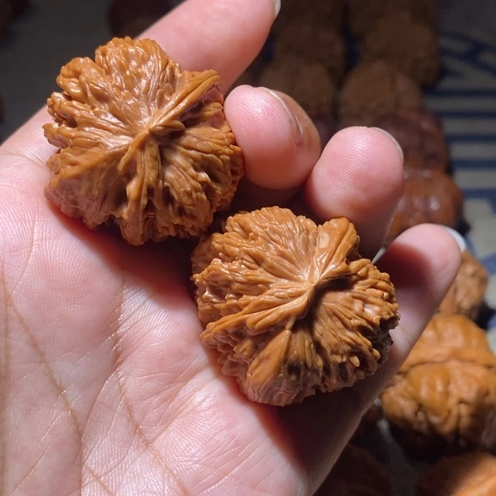 小***头文玩核桃把件核桃