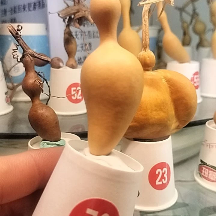 70号天然葫芦把玩葫芦