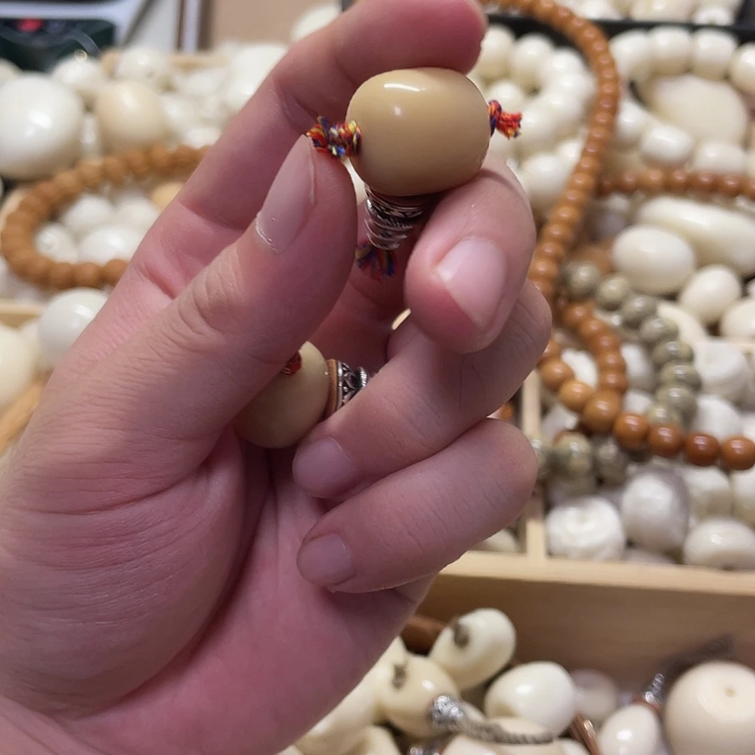 要***力菩提根/象牙果吊坠