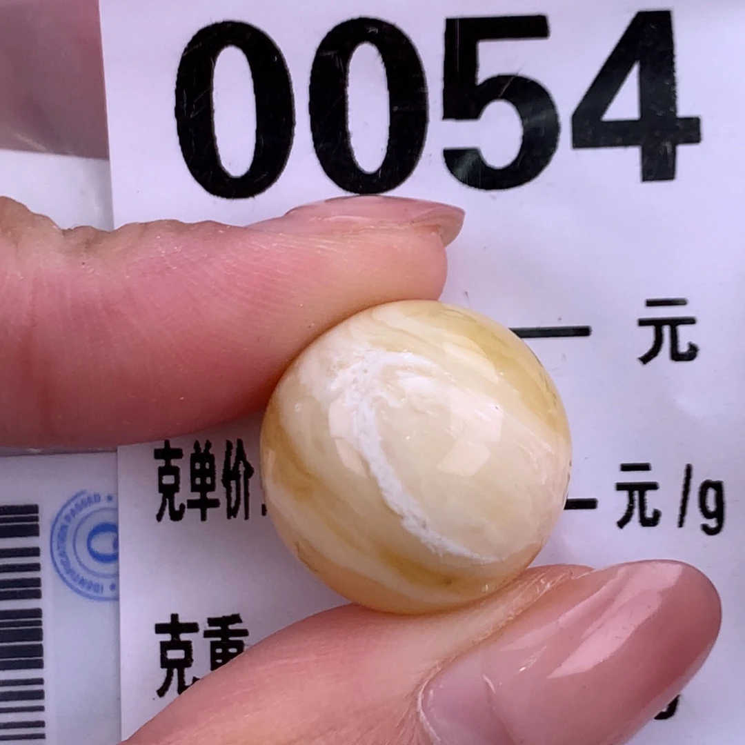 琥珀未镶嵌珠宝奇石18.3植物