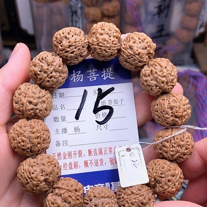 金刚菩提手串22铁骨双龙