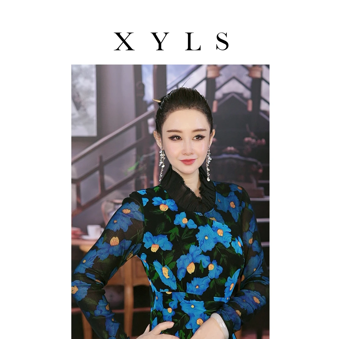 女装弹力网纱连衣裙秋冬T007096