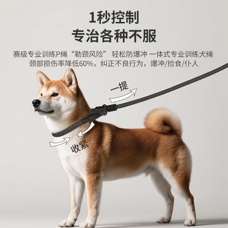 小型狗狗P绳防爆冲适合幼小犬专业训练遛狗牵引绳牵引带狗链