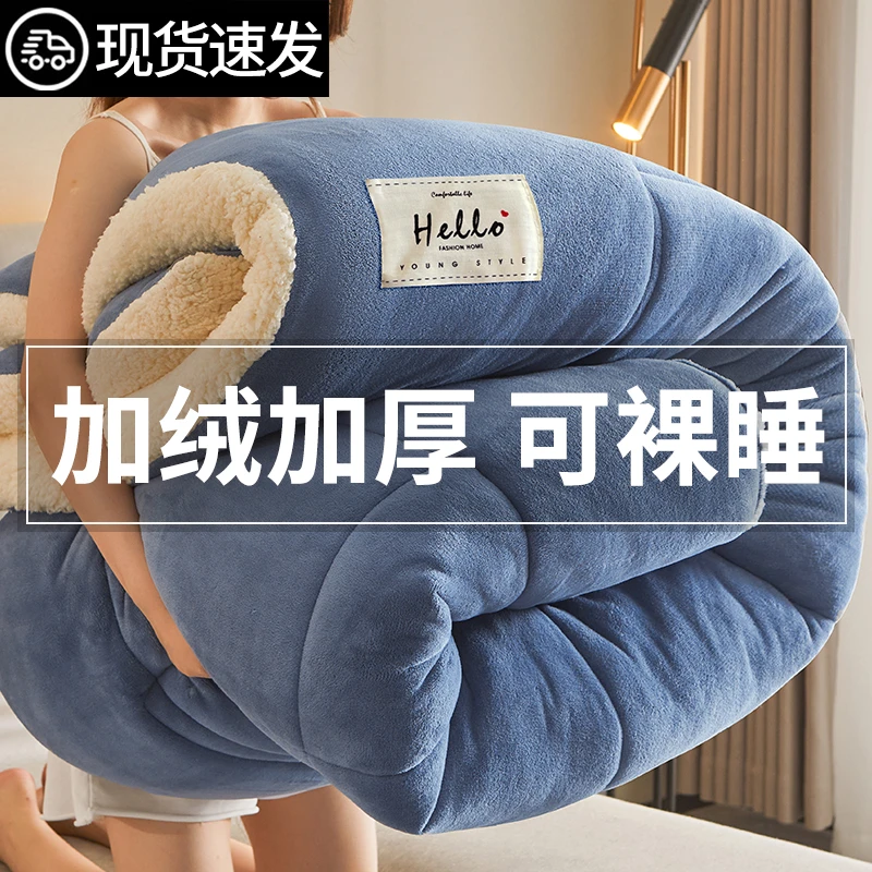 羊羔绒被子冬被加厚保暖牛奶绒被芯学生宿舍单人秋冬棉被冬季盖被