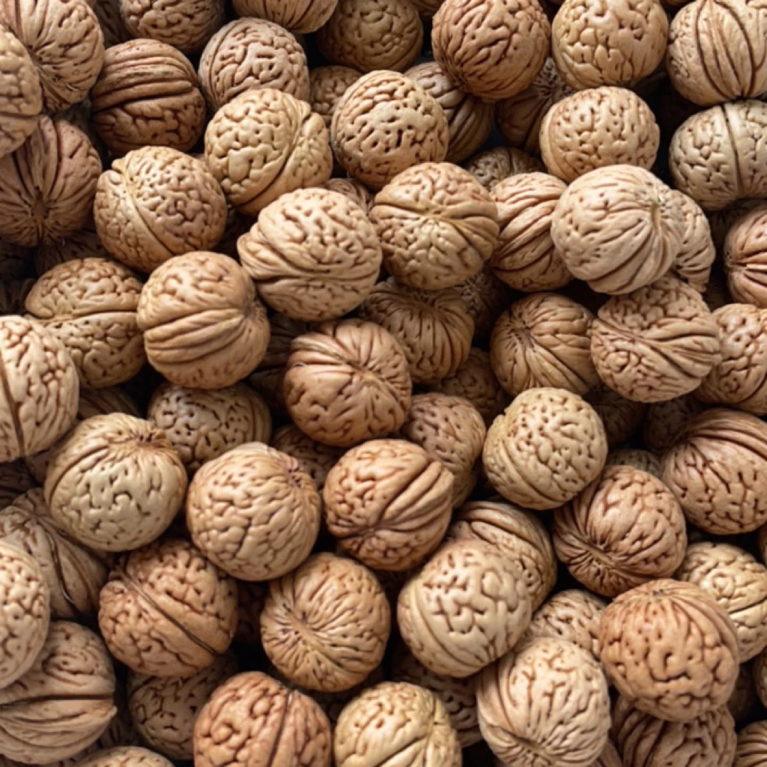 各种原皮原色龙鳞脑纹桃核散籽