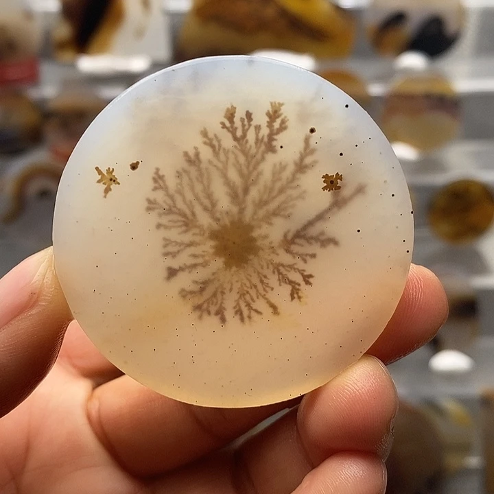 玛瑙/玉髓合金颈饰