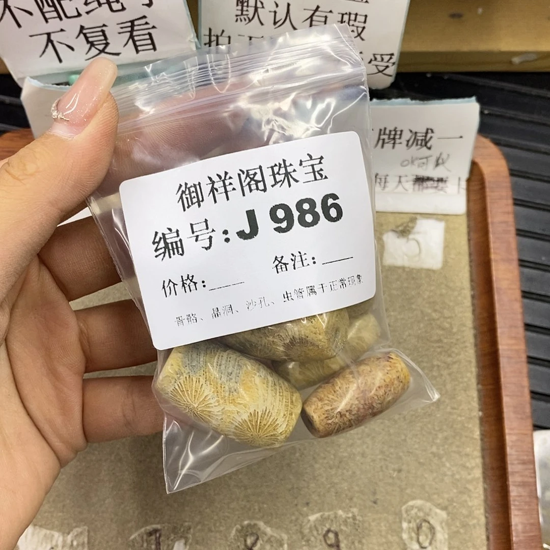 硅化珊瑚（珊瑚玉）未镶嵌颈饰珍*宝