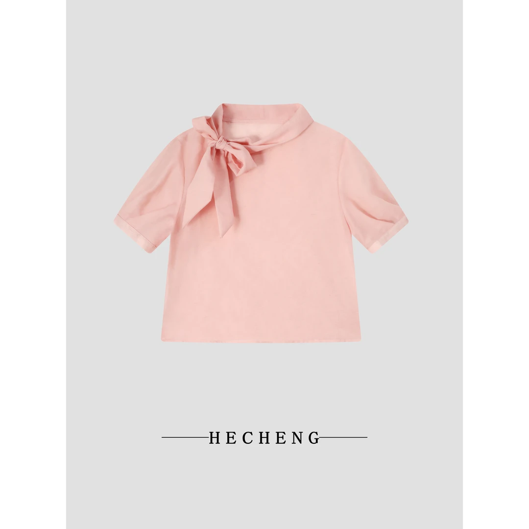 【禾呈】显瘦短袖上衣2025年夏季时尚设计感小众休闲短袖上衣10371