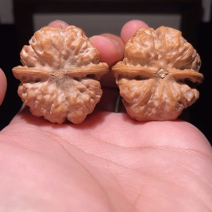 手串/手链核桃蛤蟆头