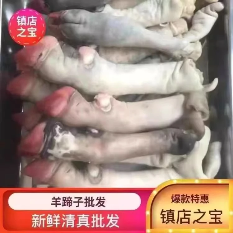 B1新鲜羊蹄子（拍5斤送3斤）黑花羊蹄生羊蹄带筋现杀羊脚冷冻羊爪羊脚蹄生羊蹄麻辣羊蹄羊肉