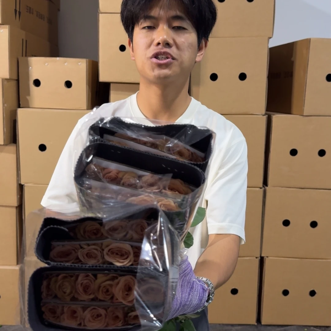 卡布2扎包邮价秒杀