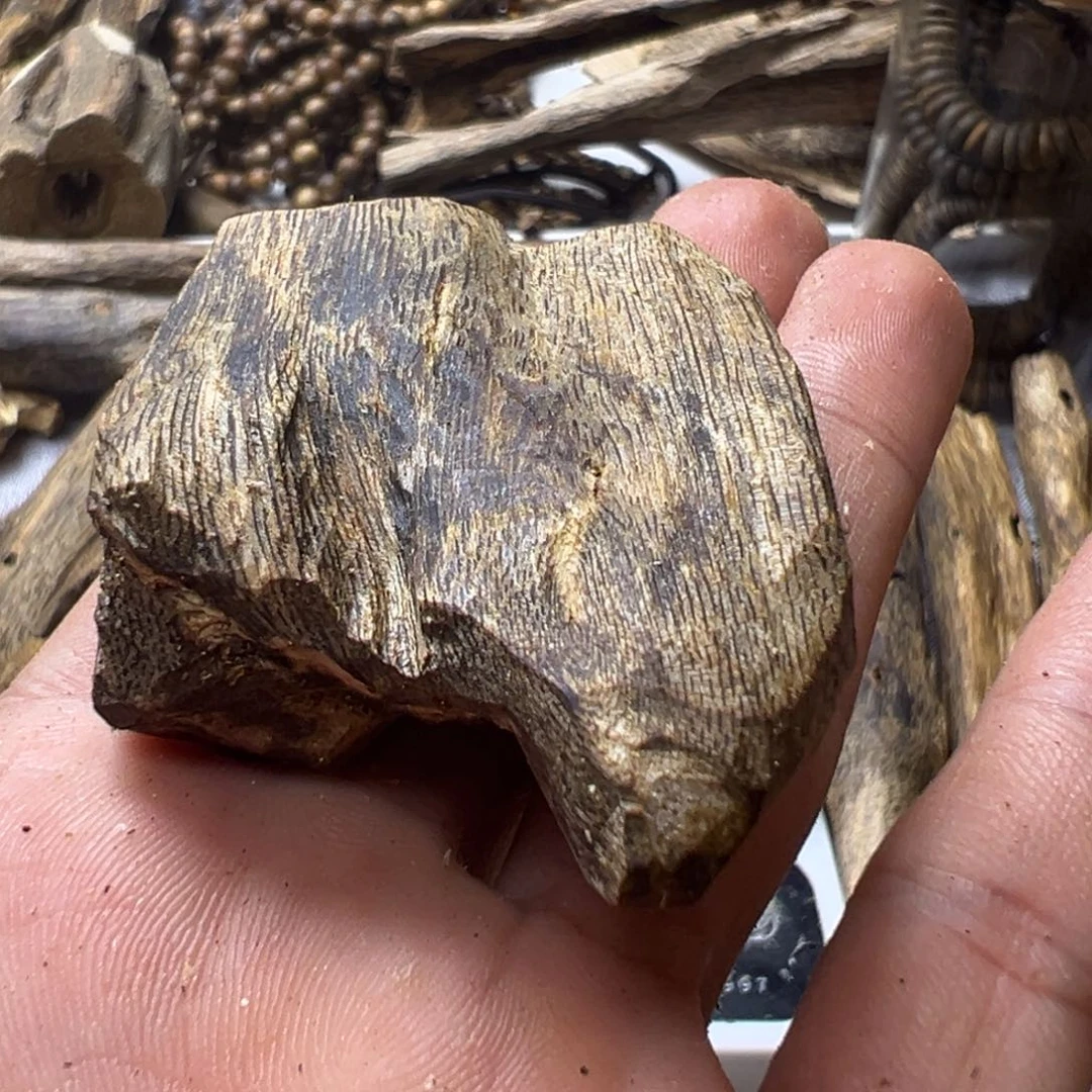 沉香沉香碎屑汝湖16克