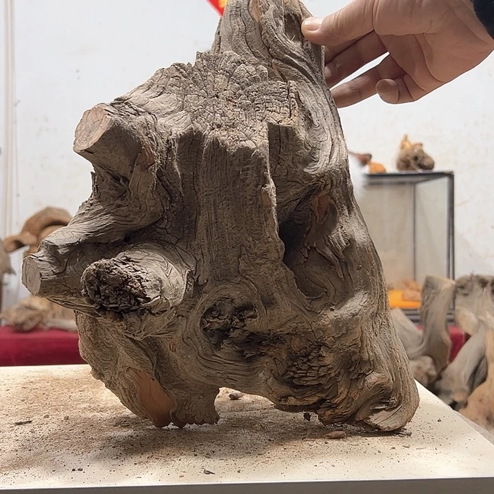 柏木展****）我们的生活也