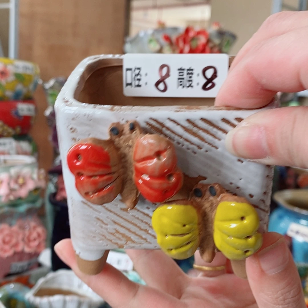 红陶福利福利福利