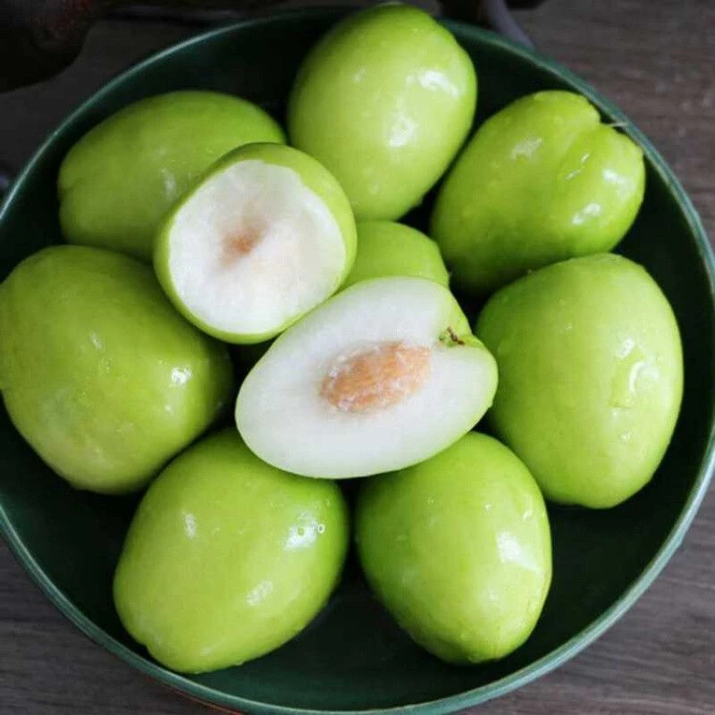 当季云南牛奶大青枣蜜枣贵妃枣冬鲜枣新鲜水果现货批发香甜即食