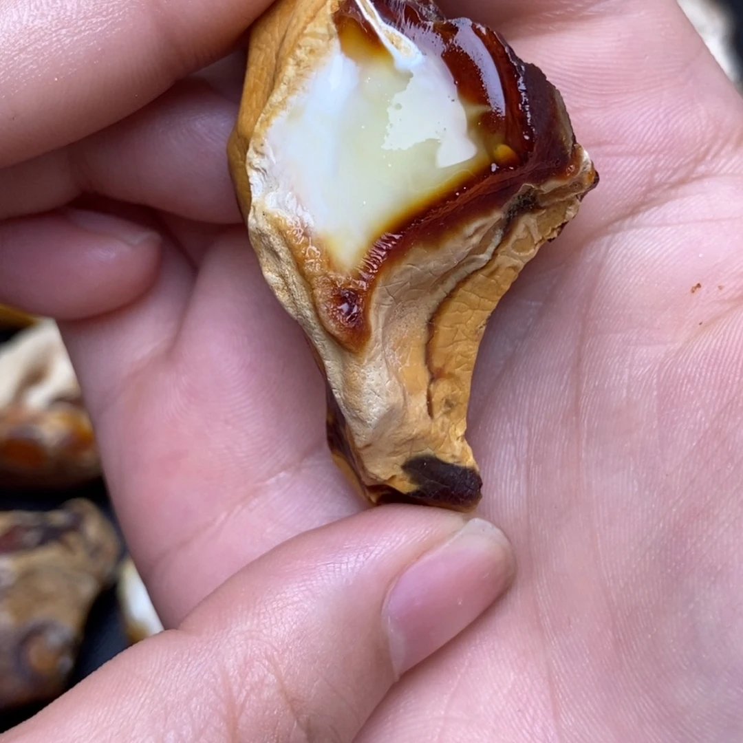 定制琥珀未镶嵌一****6定制