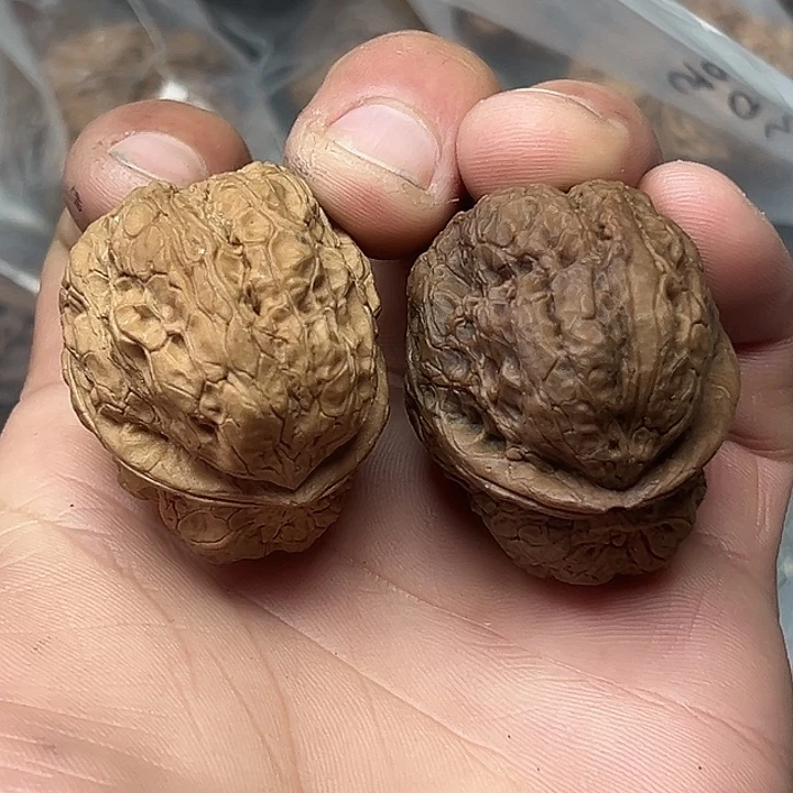 文玩核桃把件67号恶霸金蟾40尺