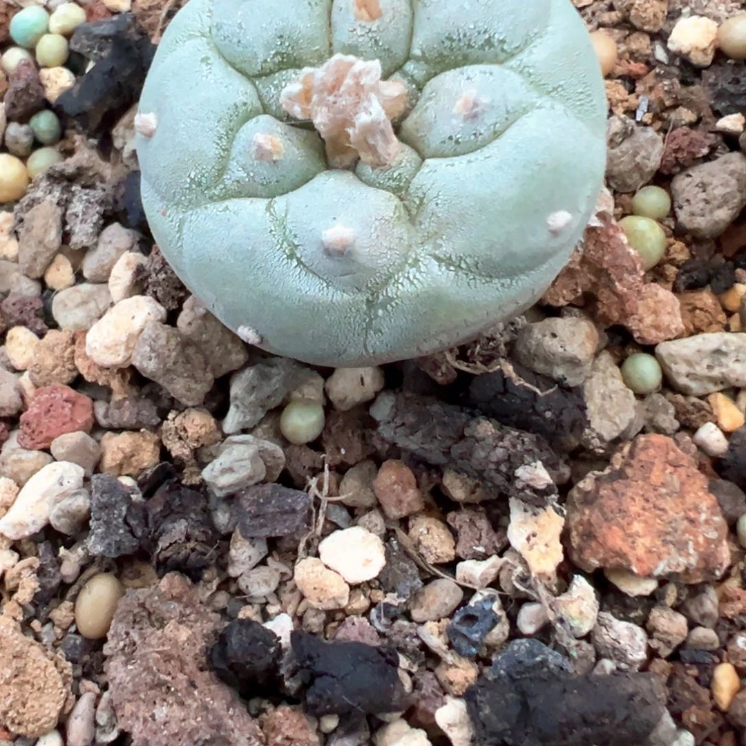 哈哈哈哈哈哈哈哈哈哈哈哈