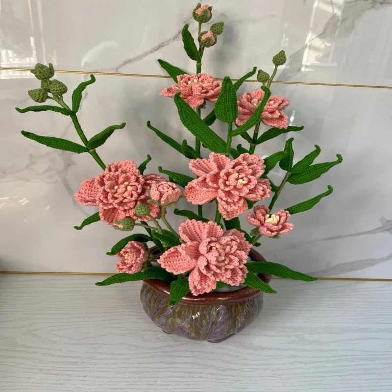 阿兰原创幸运竹（分销）