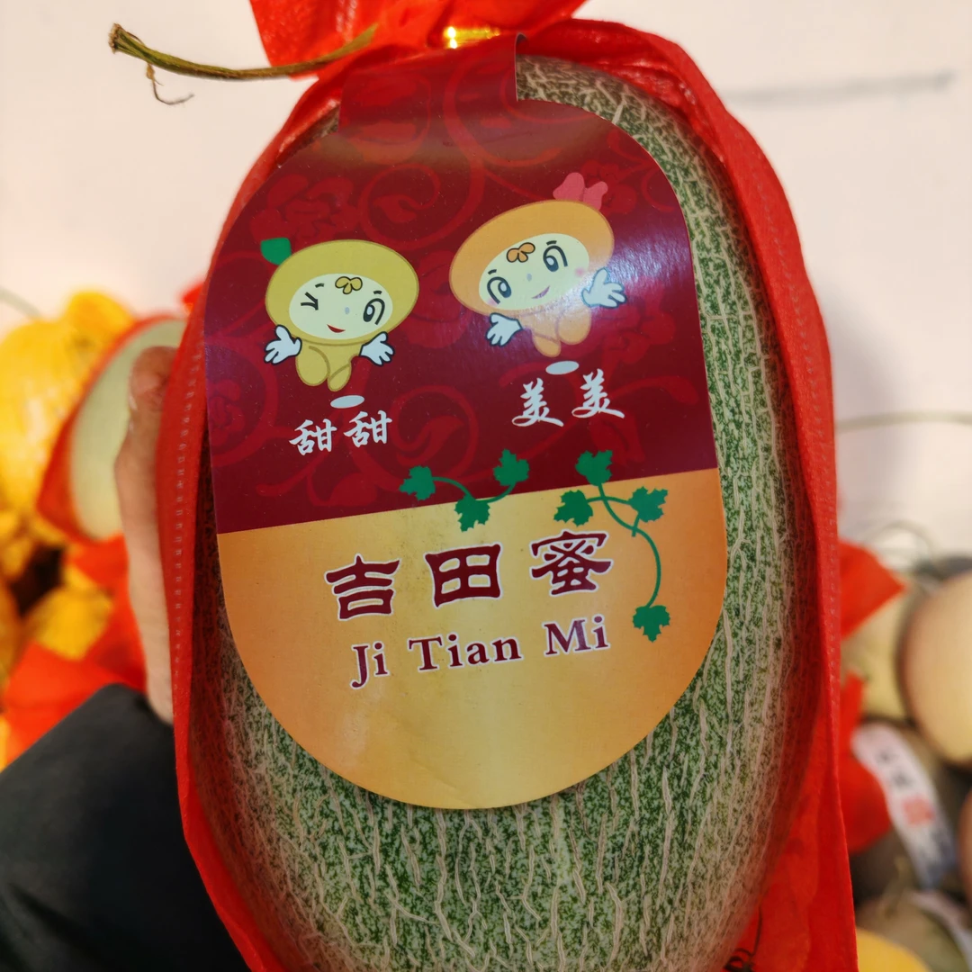晓蜜哈密瓜 脆甜爽口