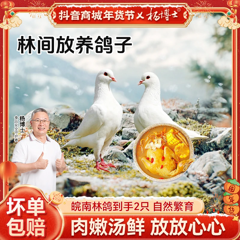 【两只皖南林鸽】皖南林间散养王鸽营养丰富全粮喂养鸽子汤鲜嫩生鲜